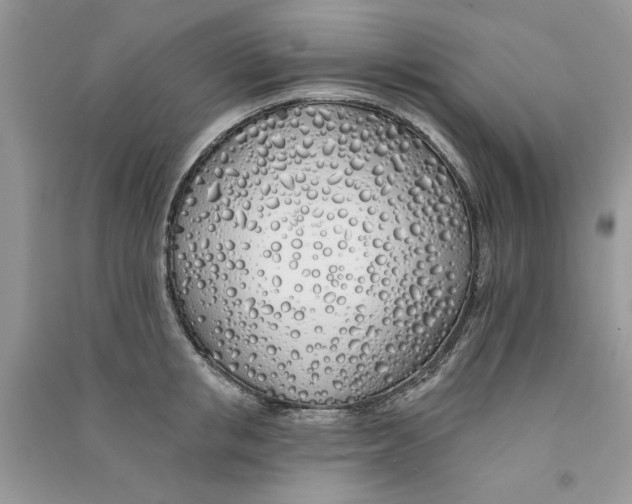 X0000090750853200708172026
