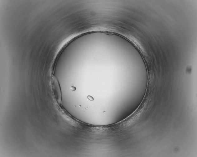 X0000090750854200708172026