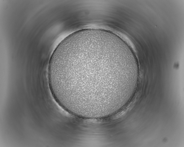 X0000090750855200708172026