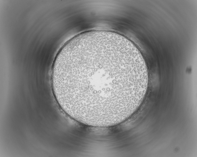 X0000090750856200708172026