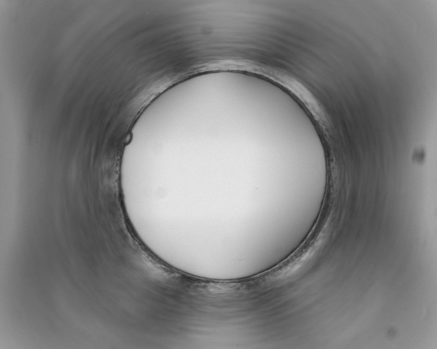X0000090750857200708172026