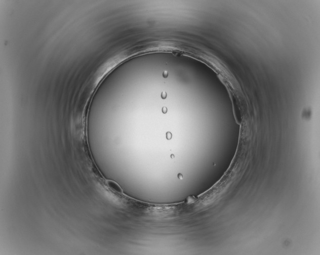 X0000090750858200708172026