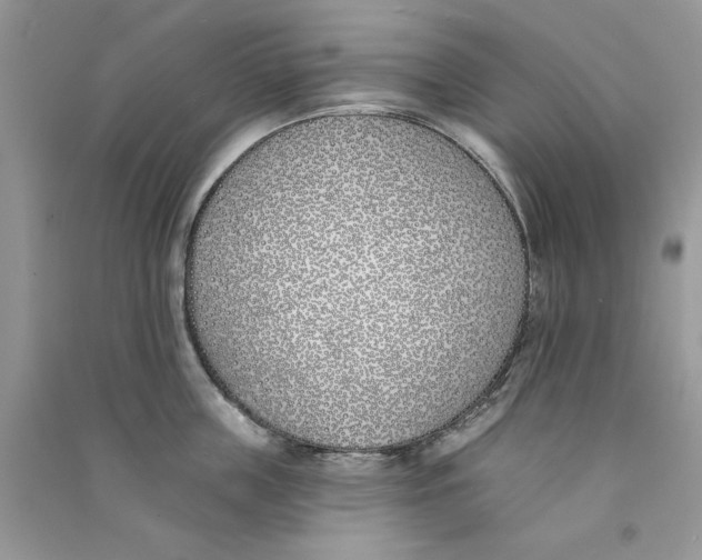 X0000090750859200708172026