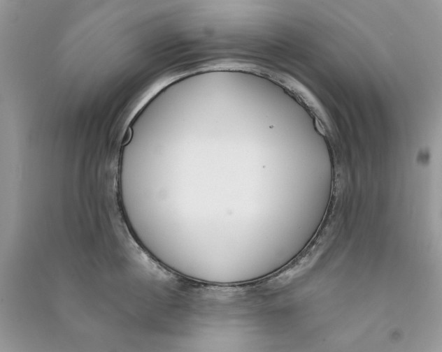 X0000090750860200708172026