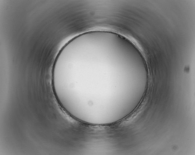 X0000090750862200708172026