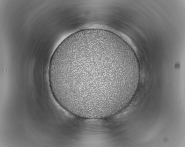 X0000090750863200708172026