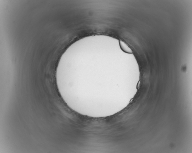 X0000090750865200708172025