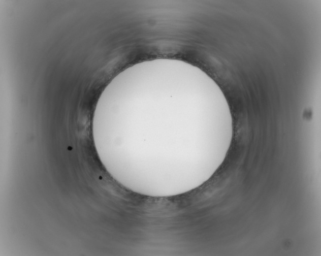 X0000090750866200708172025