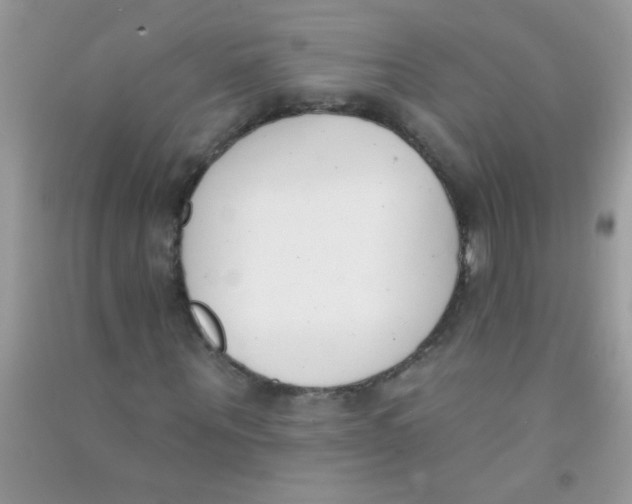 X0000090750867200708172025
