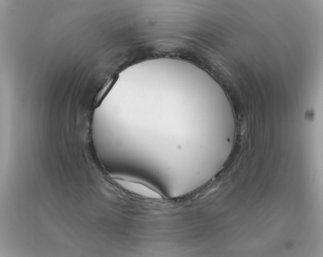 X0000090750868200708172025