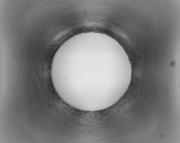 X0000090750869200708172025