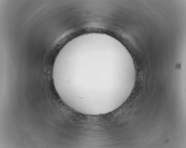 X0000090750870200708172025