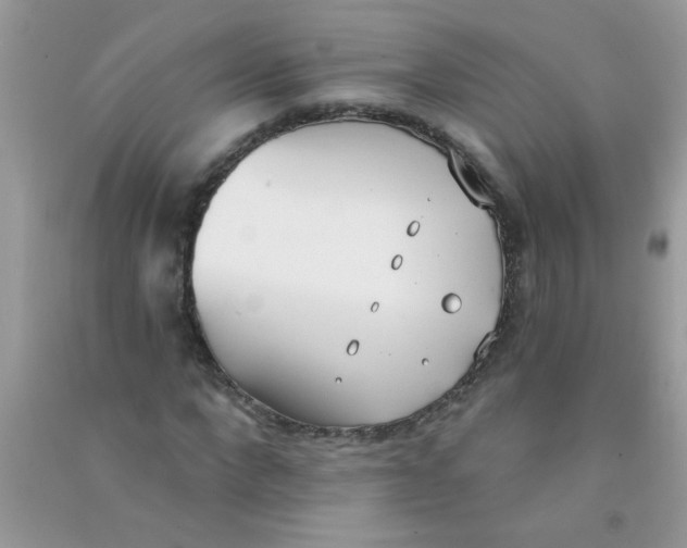 X0000090750872200708172025