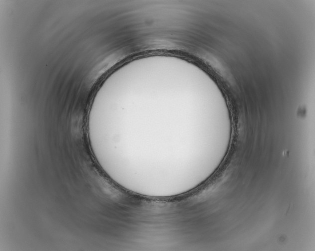 X0000090750873200708172025