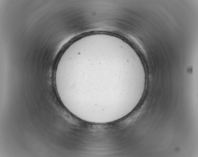 X0000090750875200708172025