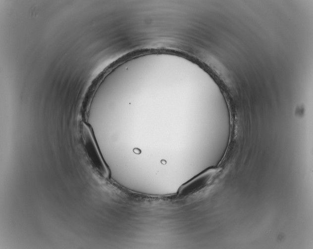 X0000090750876200708172025