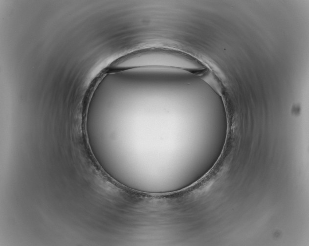 X0000090750877200708172025