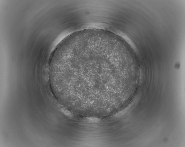 X0000090750878200708172025