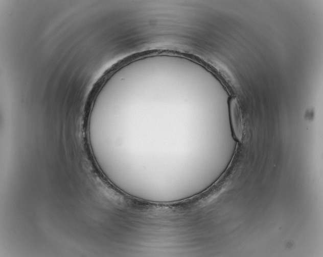 X0000090750880200708172025