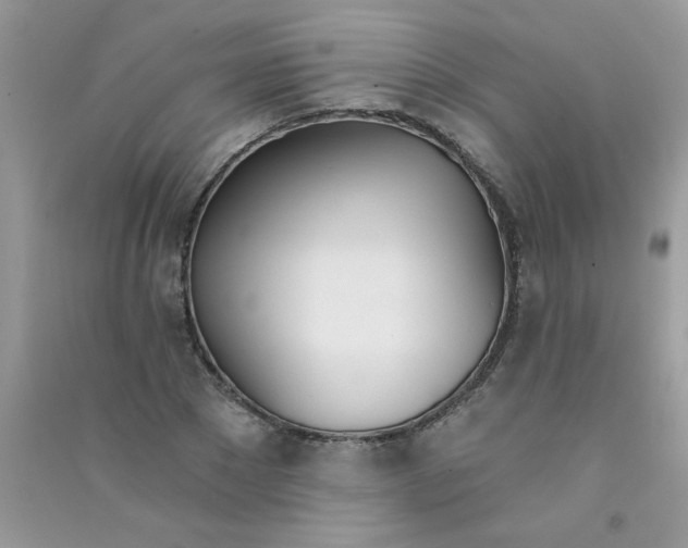 X0000090750881200708172025