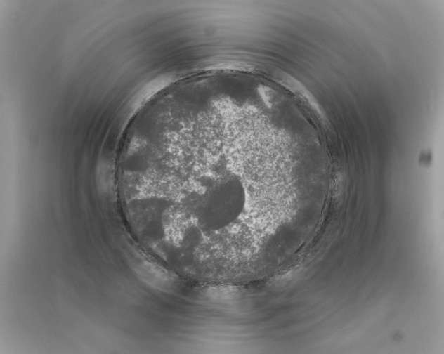 X0000090750882200708172025