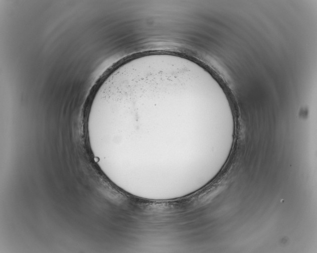 X0000090750883200708172025
