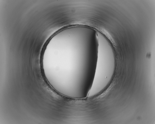 X0000090750884200708172025