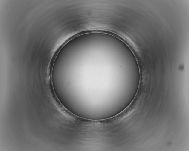 X0000090750885200708172025