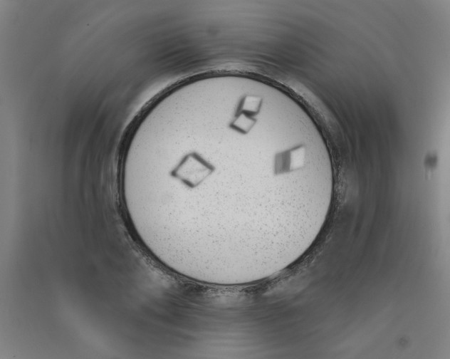X0000090750886200708172025