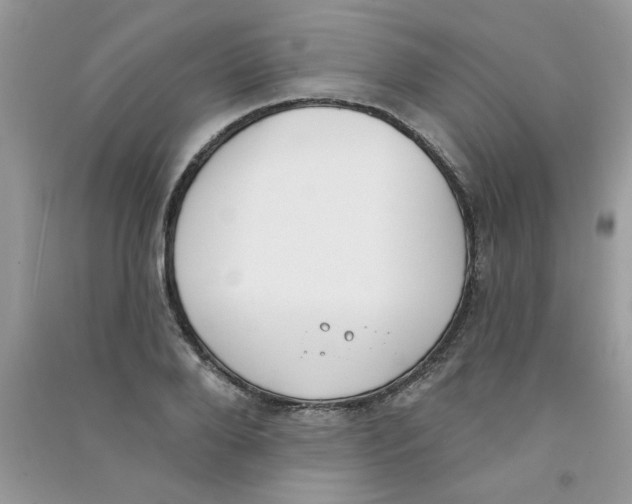 X0000090750888200708172025