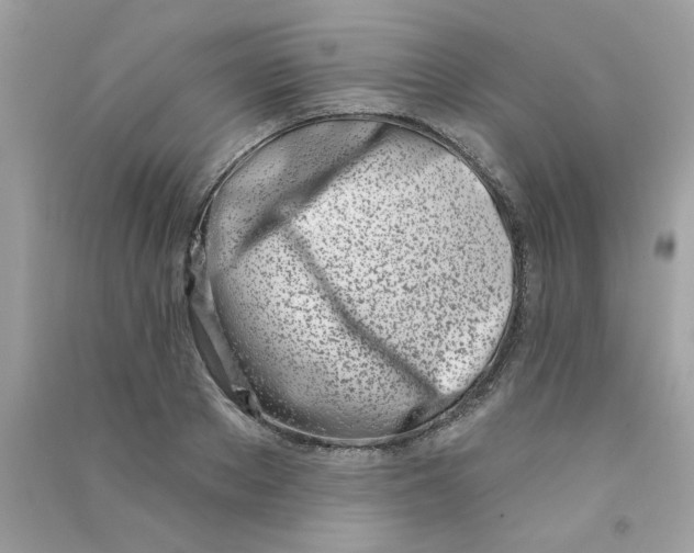 X0000090750889200708172025