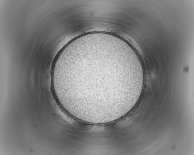 X0000090750890200708172025
