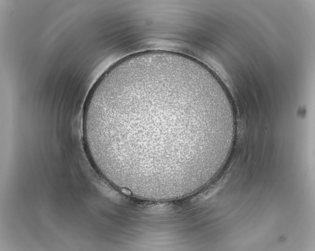 X0000090750891200708172025