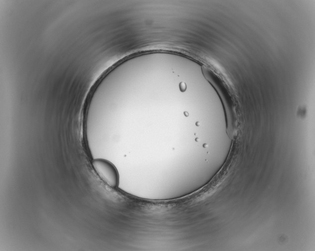 X0000090750892200708172025
