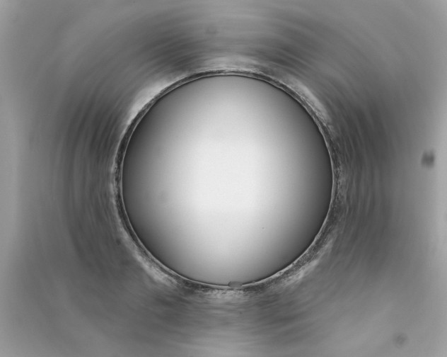 X0000090750893200708172025