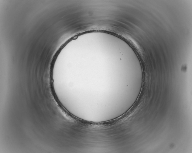 X0000090750894200708172025