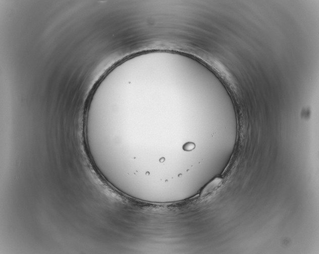 X0000090750896200708172025