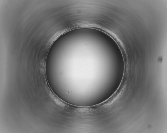 X0000090750897200708172025