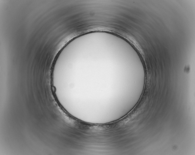X0000090750898200708172025