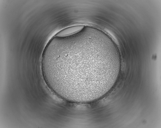 X0000090750899200708172025