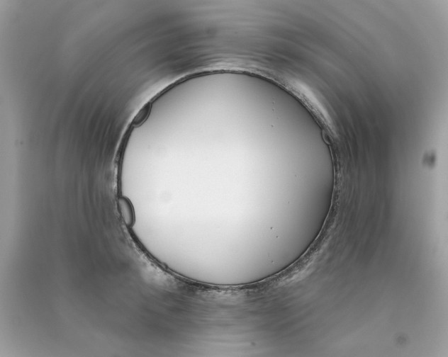 X0000090750900200708172025