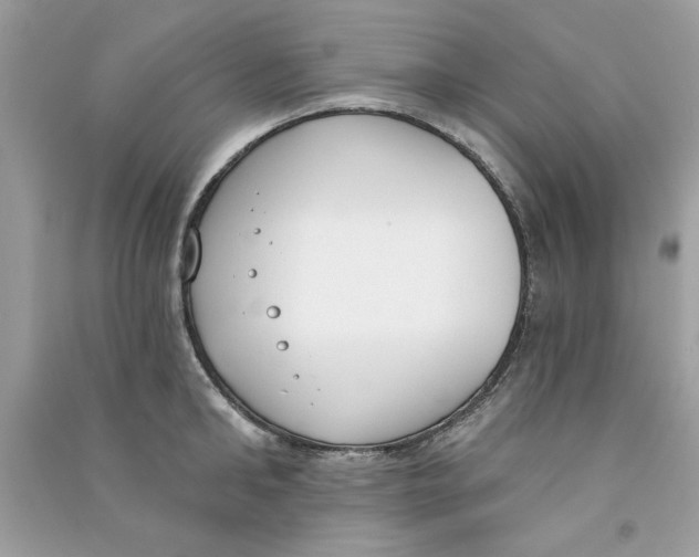 X0000090750902200708172025