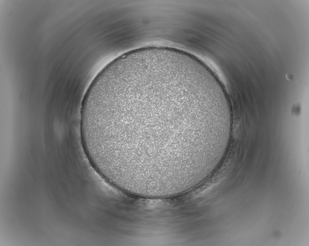X0000090750903200708172025
