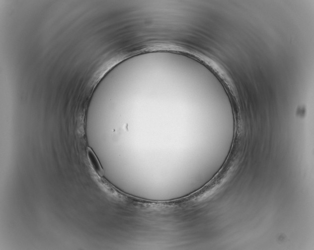 X0000090750905200708172025