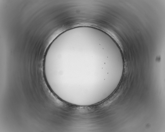 X0000090750906200708172025