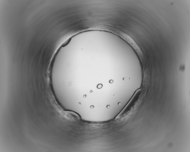 X0000090750908200708172025