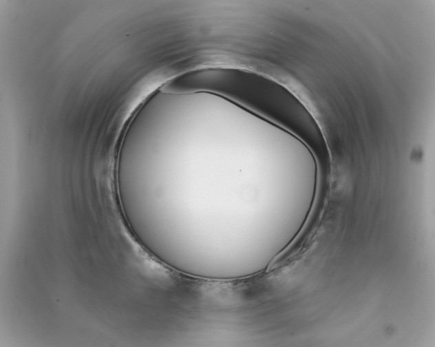 X0000090750909200708172025