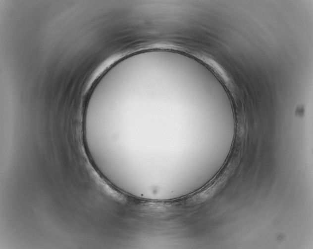 X0000090750910200708172025