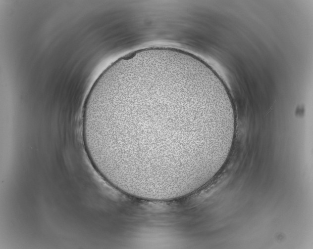 X0000090750911200708172025