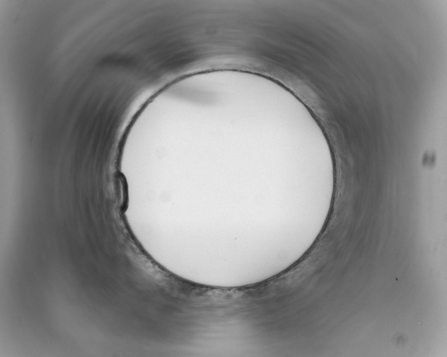 X0000090750912200708172025